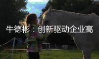 快排公司十年历程，霸屏兔 seo 的崛起与坚守