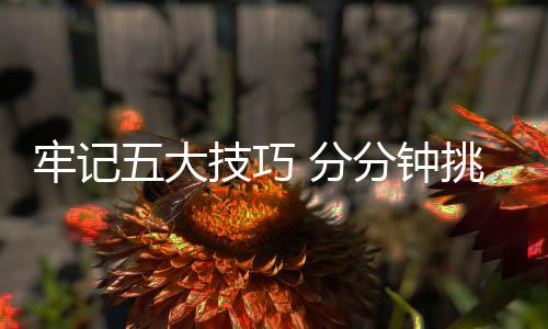 巧分选择怎样的分钟锁
