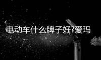 快排公司十年历程，霸屏兔 seo 的崛起与坚守