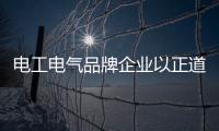 快排公司十年历程，霸屏兔 seo 的崛起与坚守