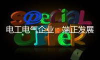 电工电气企业：端正发展态度 从长远角度出发