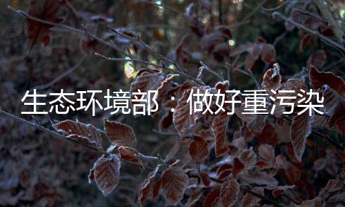 污染违法生态环境部表示