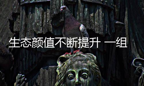 生态生态颜值不断提升