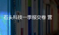 快排公司十年历程，霸屏兔 seo 的崛起与坚守