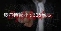快排公司十年历程，霸屏兔 seo 的崛起与坚守