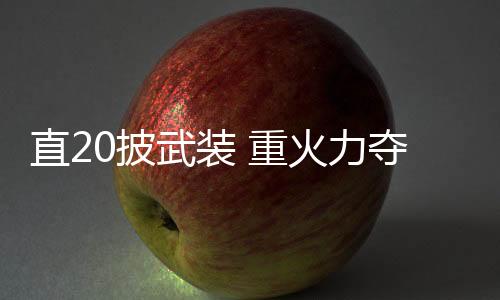 直披重火无法提供火控支持
