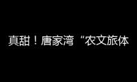 真甜！唐家湾“农文旅体”融合奏响乡村振兴“荔”