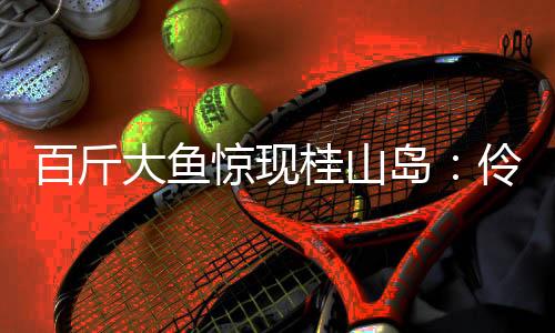 这条“海中巨兽”被扛上岸后