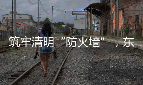 扎实做好森林防火各项工作