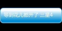 快排公司十年历程，霸屏兔 seo 的崛起与坚守