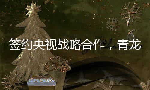 是青龙防水引爆全国