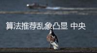 快排公司十年历程，霸屏兔 seo 的崛起与坚守