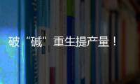 破“碱”重生提产量！ 珠海盐碱地变“丰产田”