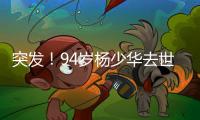 突发！94岁杨少华去世
：中午35度高温参加商业活动，下午突然离世