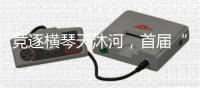 竞逐横琴天沐河，首届“龙抬头”小龙舟环绕赛扬桨开赛