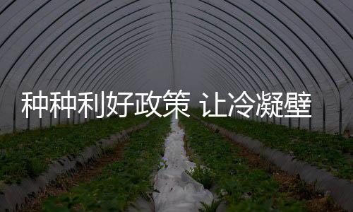 北京等地政策的让冷推动下