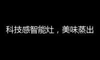 科技感智能灶，美味蒸出来，健康看得见?
