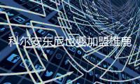 快排公司十年历程，霸屏兔 seo 的崛起与坚守