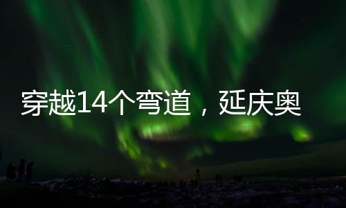 以及应对突发状况的处理措施