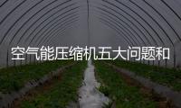 快排公司十年历程，霸屏兔 seo 的崛起与坚守