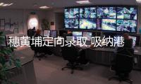 快排公司十年历程，霸屏兔 seo 的崛起与坚守