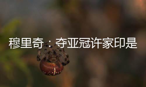 也许以目前的穆里配置