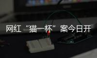 网红“猫一杯”案今日开庭
，曾编造“秦朗巴黎丢寒假作业”被封号