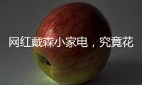 网红戴森小家电�，究竟花落谁家？