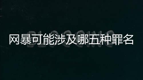 组织“水军”“打手”等实施
