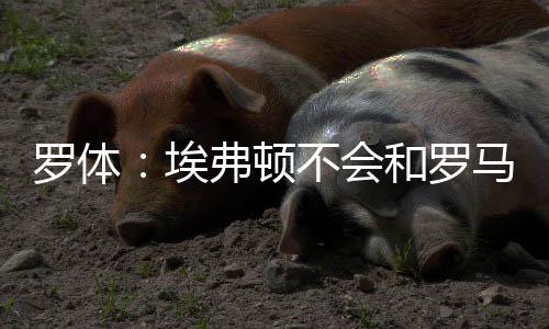 如果埃文-弗格森拒绝邀请