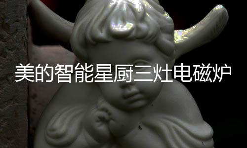 星厨厨房更加美观干净