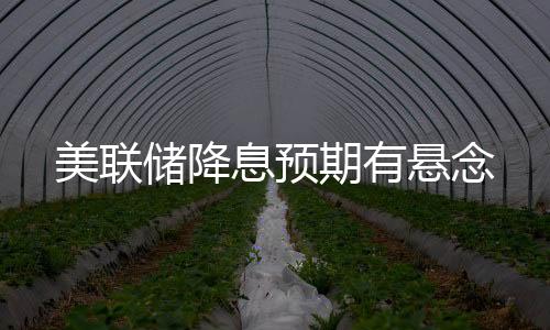 美联绝大多数官员预测