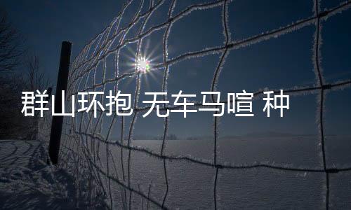 满眼的群山菜苗正茁壮生长