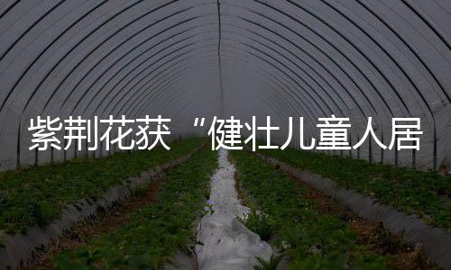 以远超行业标准要求自己
