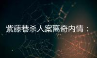 紫藤巷杀人案离奇内情�：四个专案组与警界“内鬼”