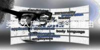 类案入库�	：可作参考理由
，不作裁判依据
