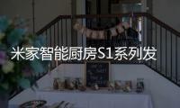 快排公司十年历程，霸屏兔 seo 的崛起与坚守