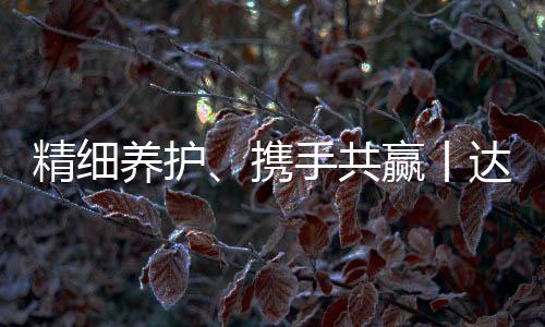 为双方高质量发展注入新动能