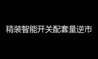 精装智能开关配套量逆市大增，市场前景可观