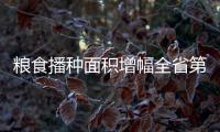 粮食播种面积增幅全省第一！珠海粮油大面积单产提升行动启动
