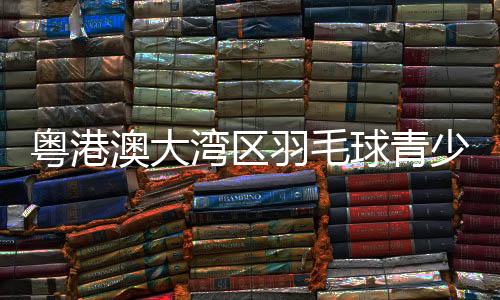 球青羽毛球交流赛三大板块