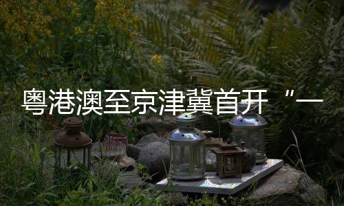 共建跨区域物流服务网络
