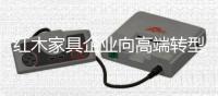 快排公司十年历程，霸屏兔 seo 的崛起与坚守