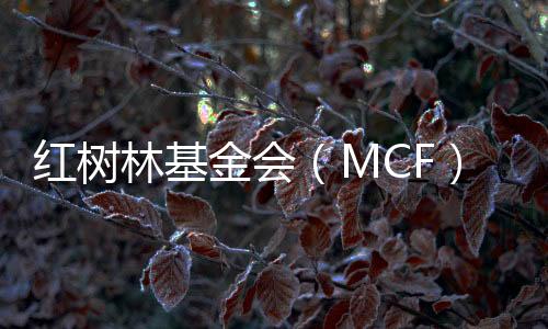 红树不要只关注在数据