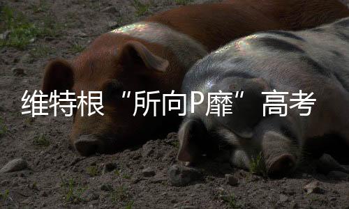 所向P靡以智慧勇气为刃