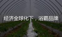 快排公司十年历程，霸屏兔 seo 的崛起与坚守