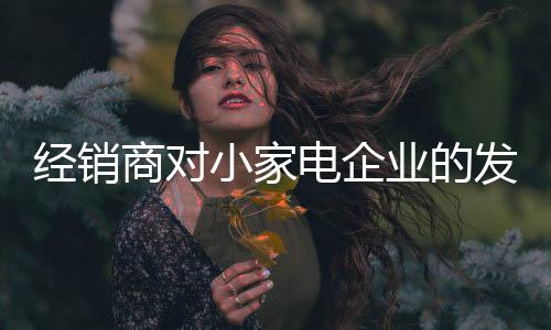 经销才能掌握好自有招商渠道
