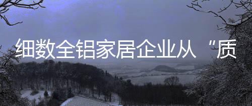 如果产品的细数质量是负数