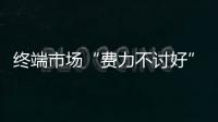 快排公司十年历程，霸屏兔 seo 的崛起与坚守