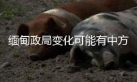 缅甸政局变化可能有中方暗中支持？中方：有关说法不是事实